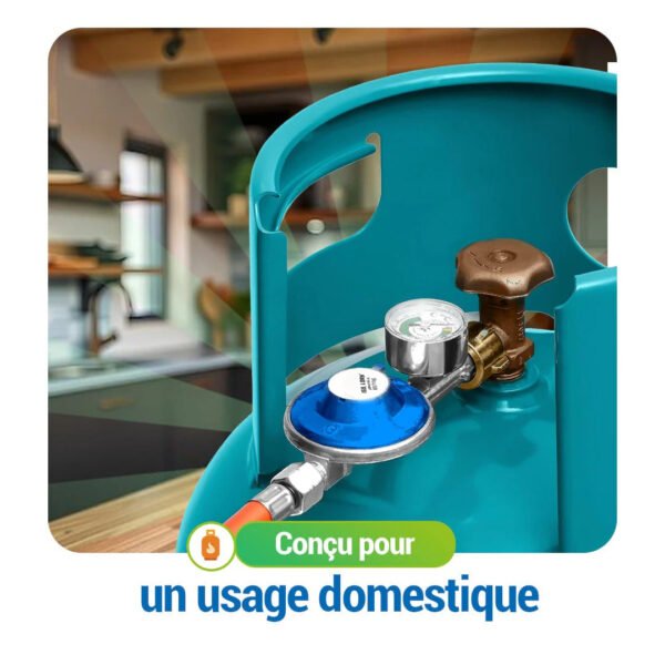 DETENDEUR DE GAZ AVEC MANOMETRE DE SECURITE - GAZ-CONTROL