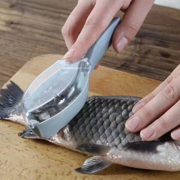 Ecailleur à poisson